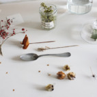 green,flower,seed.(2013)