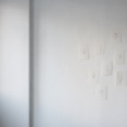 green,flower,seed.(2013)